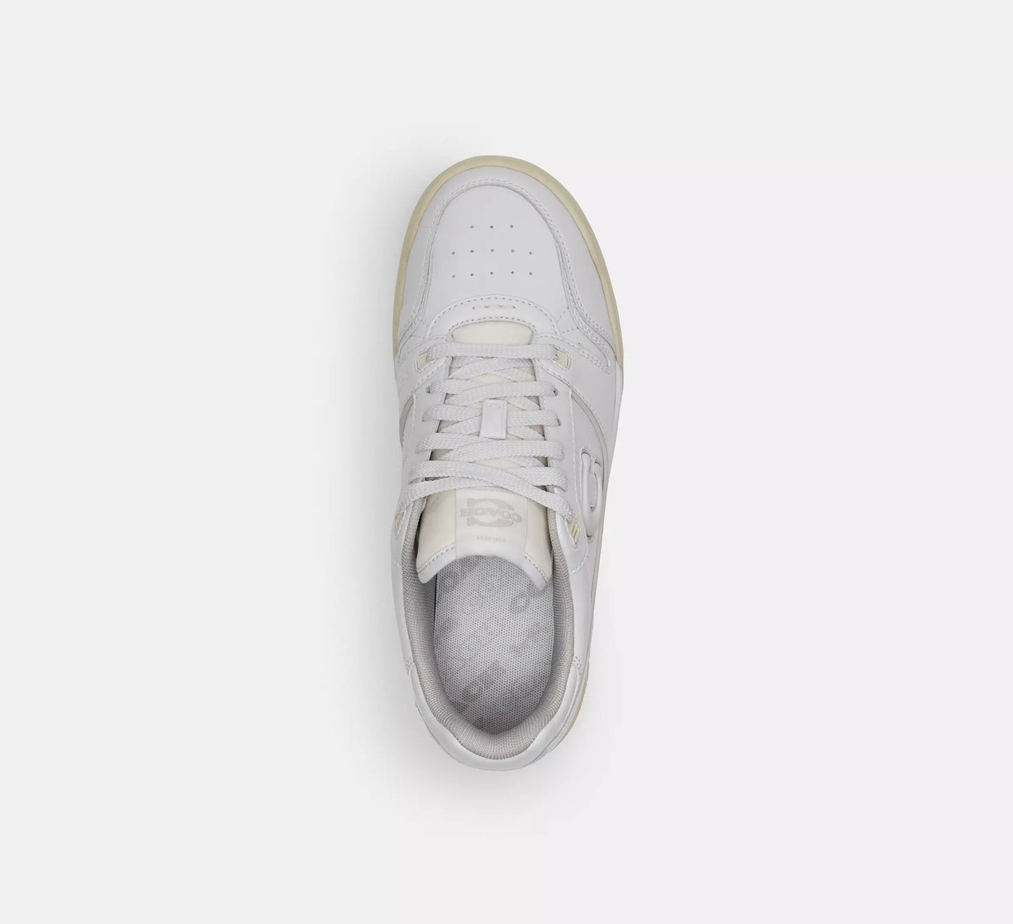 Soho Sneaker