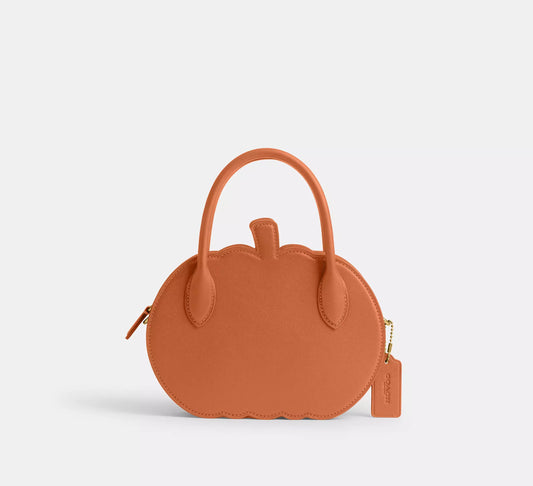 Pumpkin Bag