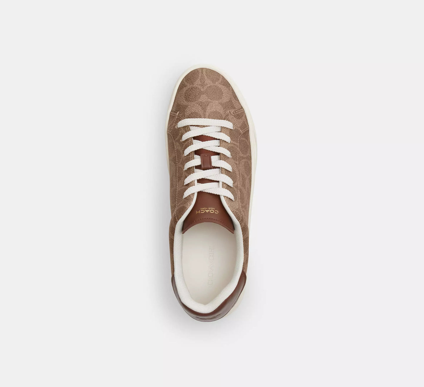 Sneaker In Signature Canvas