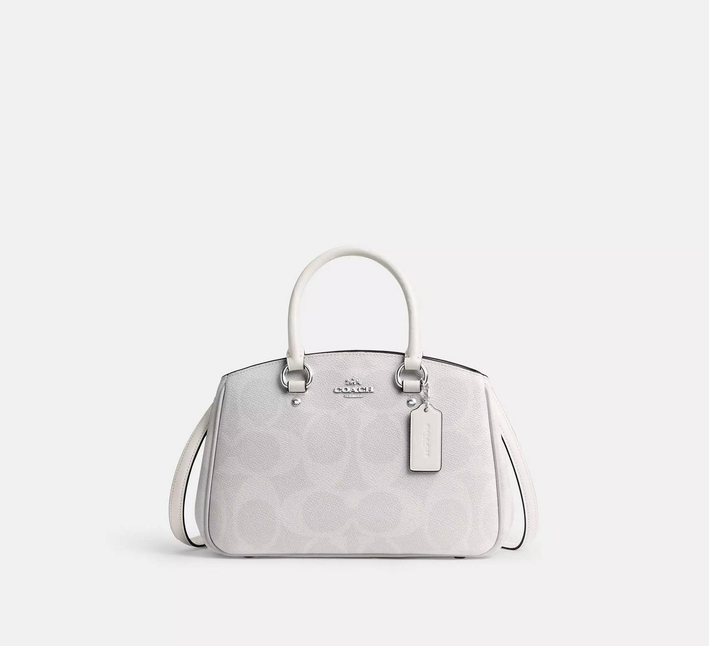 Savannah Small Carryall Bag