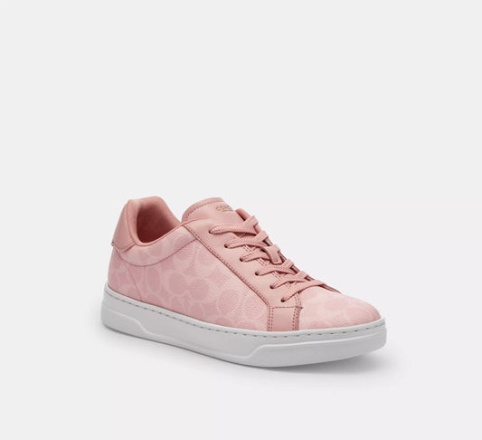Sneaker In Signature Canvas