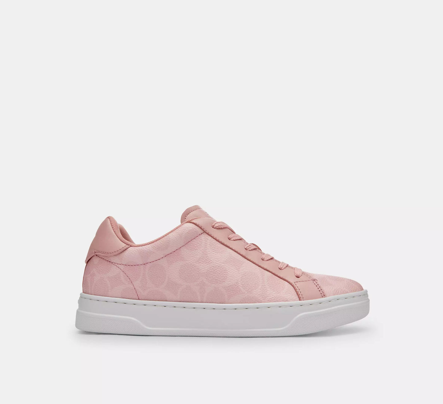 Sneaker In Signature Canvas