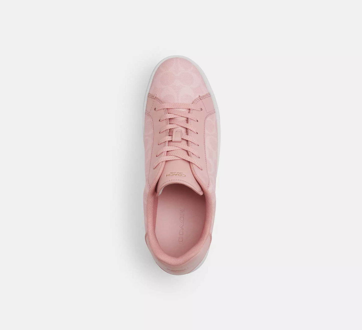 Sneaker In Signature Canvas