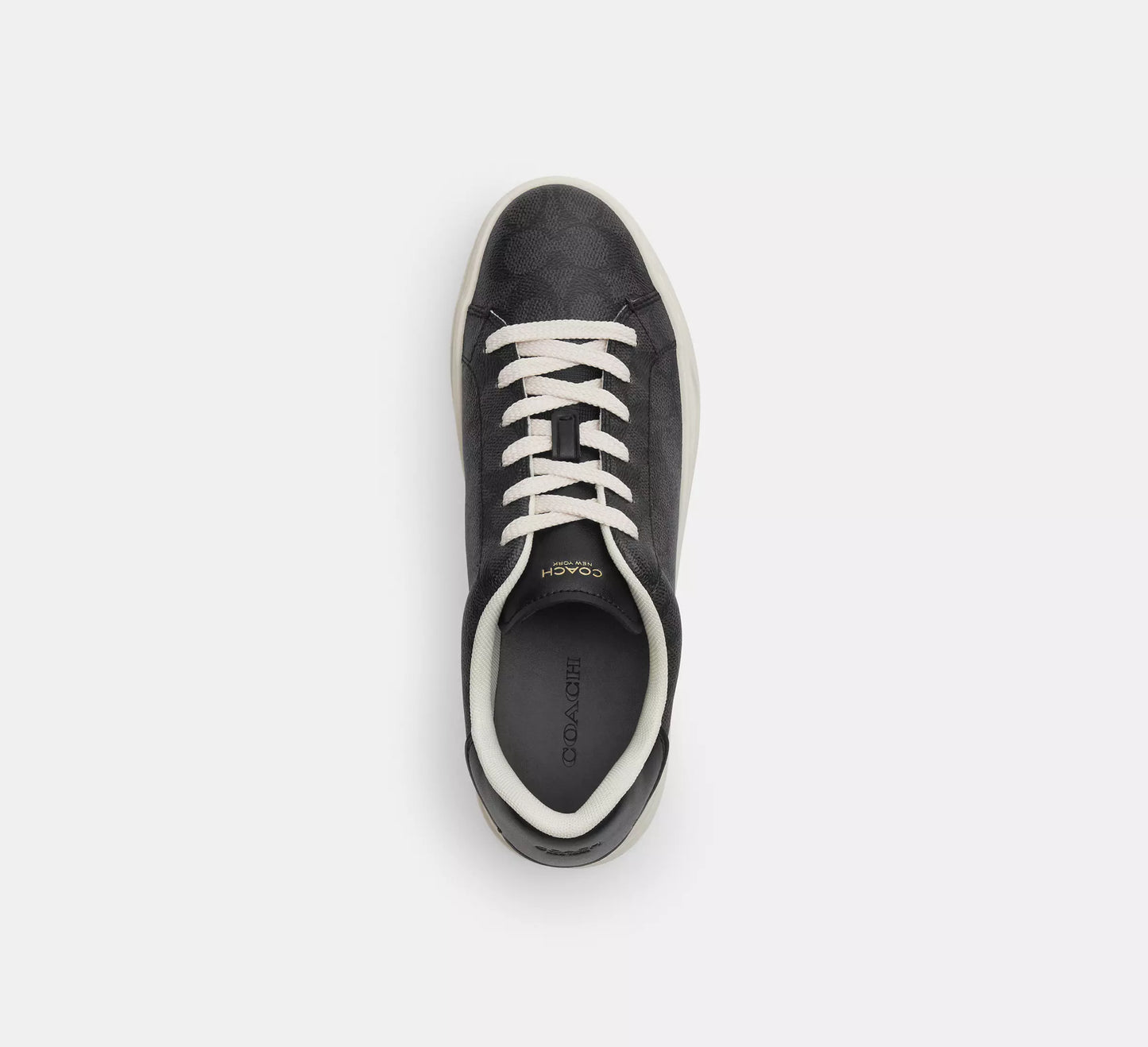 Sneaker In Signature Canvas