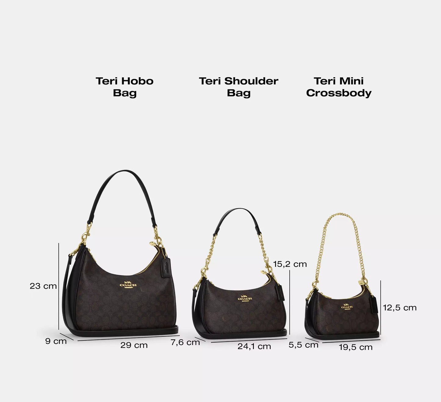 Teri Hobo Bag
